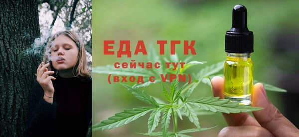 гашик Ладушкин