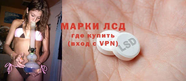 гашик Ладушкин