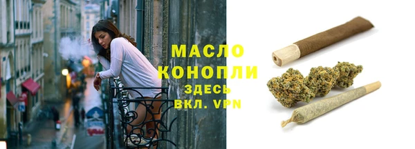 гашик Ладушкин