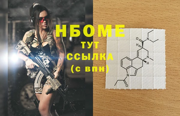 гашик Ладушкин