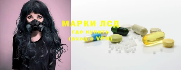 гашик Ладушкин