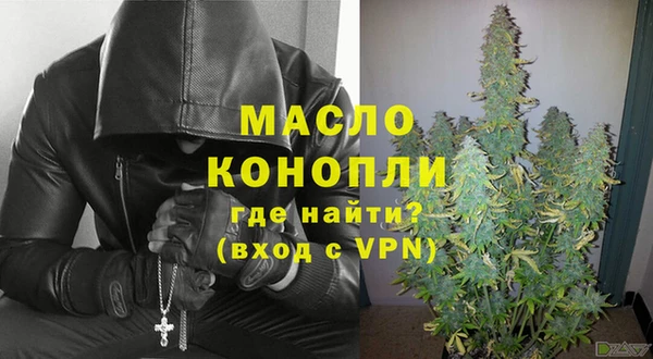 гашик Ладушкин