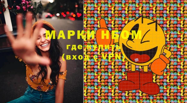 гашик Ладушкин
