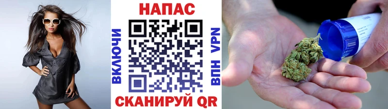 Канабис гибрид  kraken ТОР  Афипский 